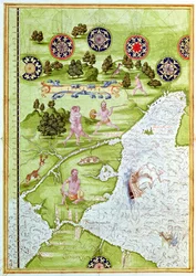 Fol. 40v, mapa del estrecho de Magallanes, de la «Cosmographie Universelle», 1555